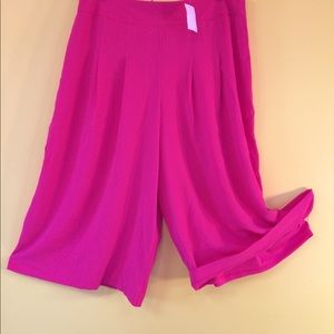 !NWT! Cato Split Dress Culottes  Fuscia SZ 14